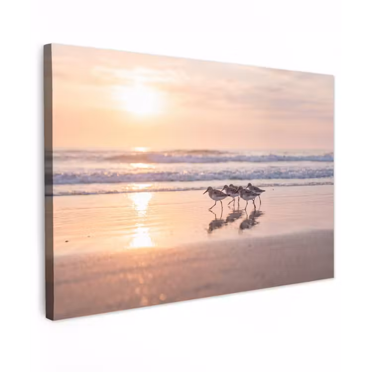 Zee - Vogels - Strand Tuinposter op houten frame 2 cm dik klein -3d