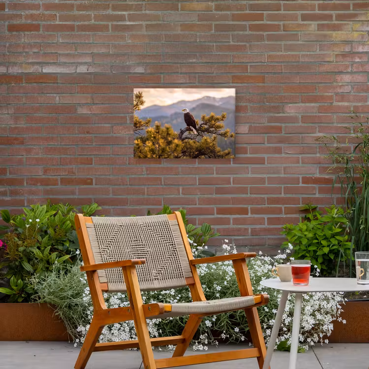 Zeearend - Boom - Bergen - Groen Tuinposter op houten frame 2 cm dik klein -sfeer3