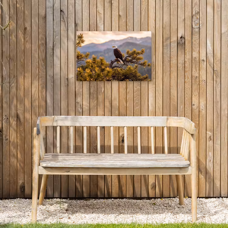 Zeearend - Boom - Bergen - Groen Tuinposter op houten frame 2 cm dik klein -sfeer4