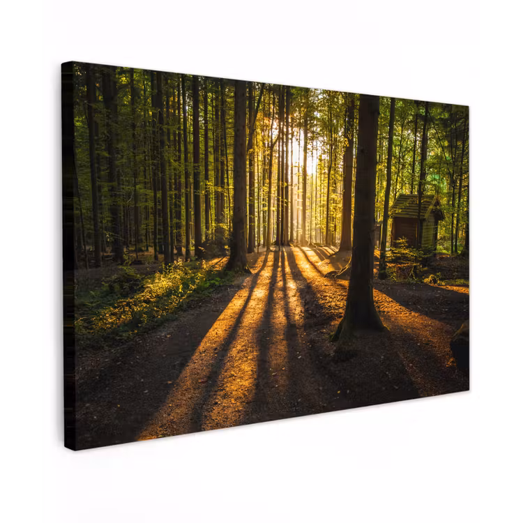 Zon - Bomen - Bos - Landschap - Natuur Tuinposter op houten frame 2 cm dik klein -3d