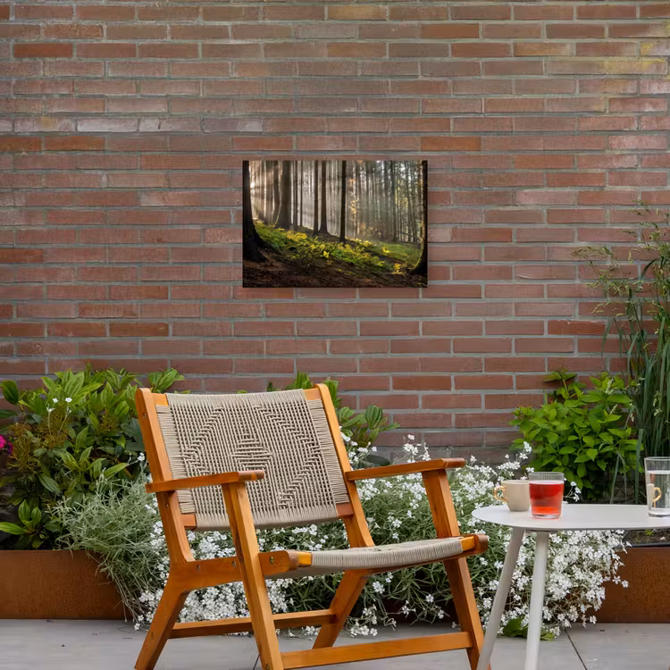 Zon - Takken - Bomen - Bos - Natuur Tuinposter op houten frame 2 cm dik klein -sfeer3