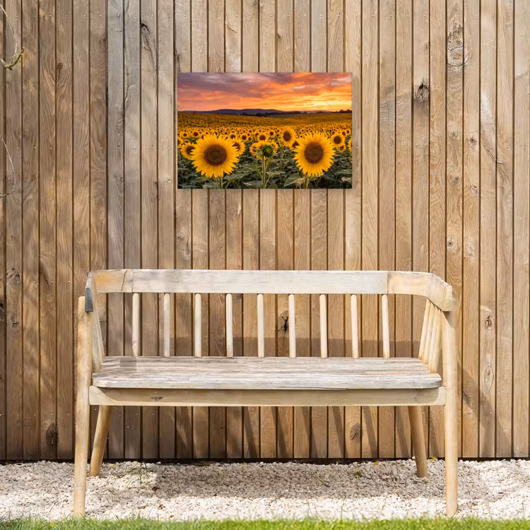 Zonnebloemen - Heuvellandschap - Geel Tuinposter op houten frame 2 cm dik klein -sfeer4