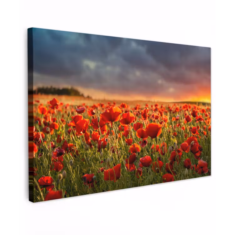Zonsondergang - Klaprozen - Rood - Bloemen - Veld - Natuur Tuinposter op houten frame 2 cm dik klein -3d