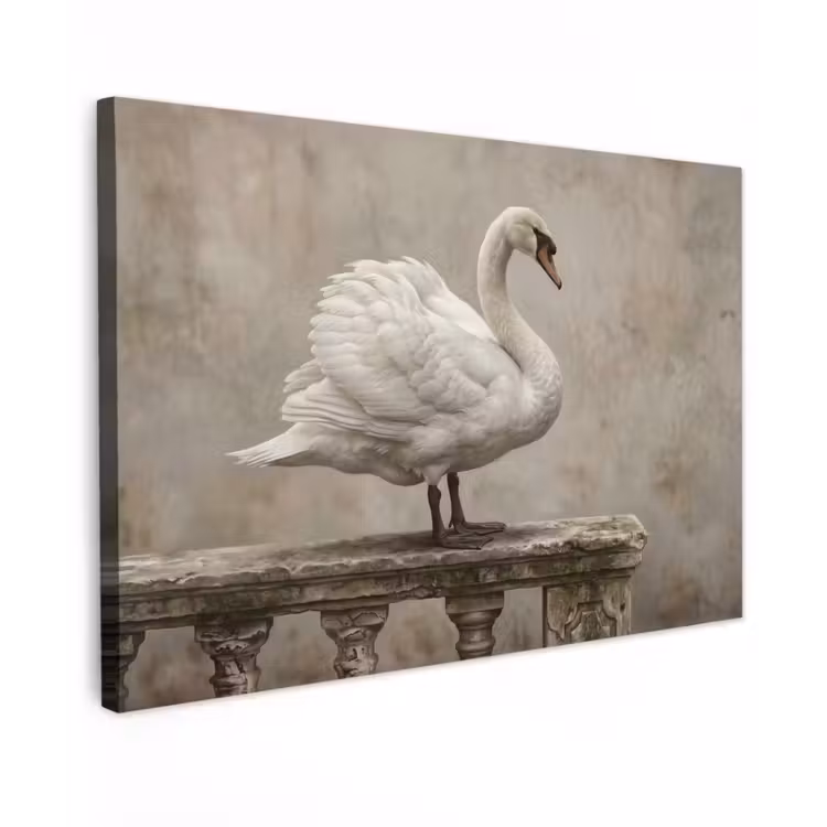 Zwaan - Elegant - Dieren - Wit Tuinposter op houten frame 2 cm dik klein -3d