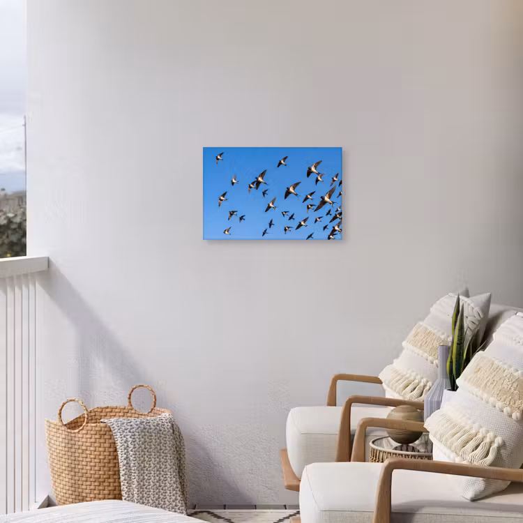 Zwaluwen - Vliegen - Blauw Tuinposter op houten frame 2 cm dik klein -sfeer1