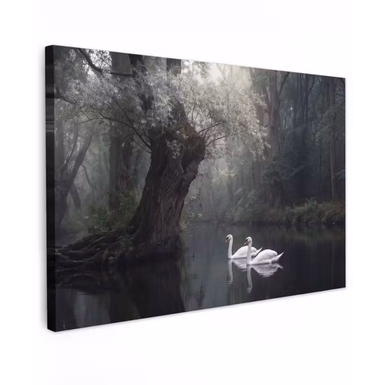 Zwanen - Rivier - Bos Tuinposter op houten frame 2 cm dik klein -3d