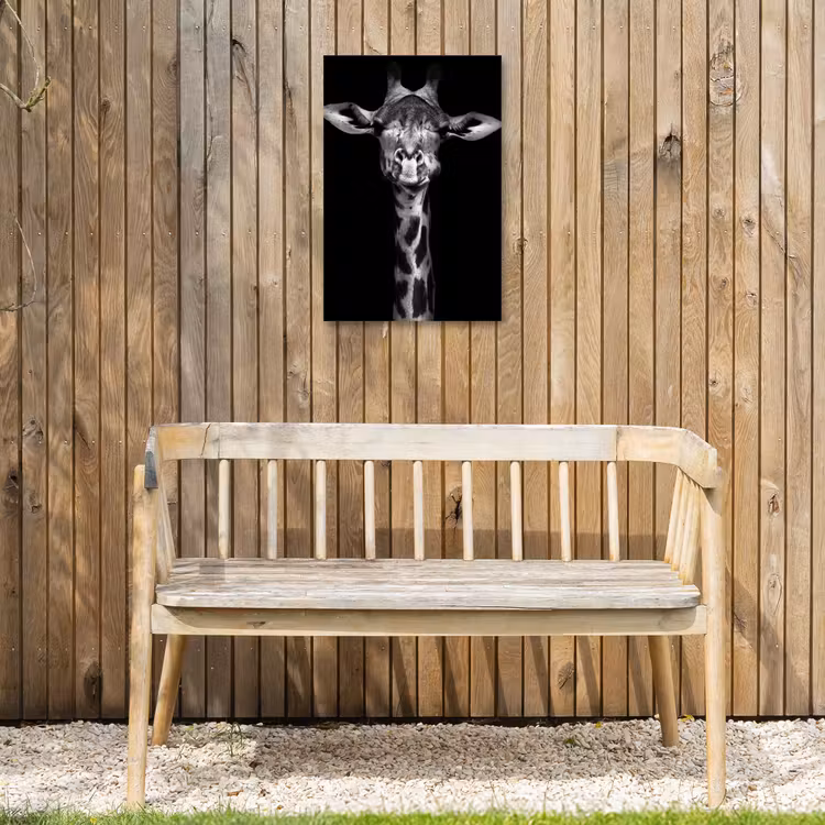 Zwart-wit portret van een giraffe Tuinposter op houten frame 2 cm dik klein -sfeer4