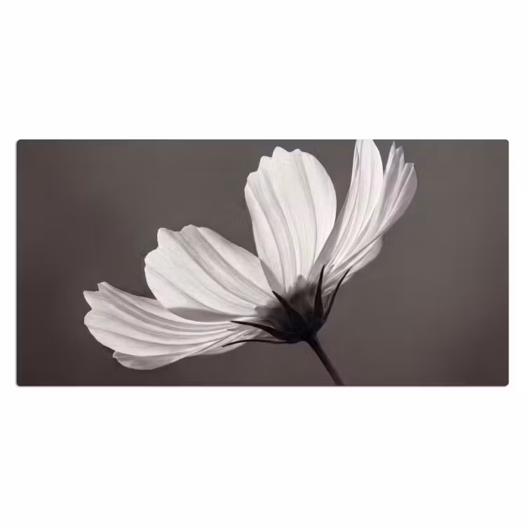 Bloem - Minimalistisch - Zwart - Wit Muismat XXL klein -3d_leeg