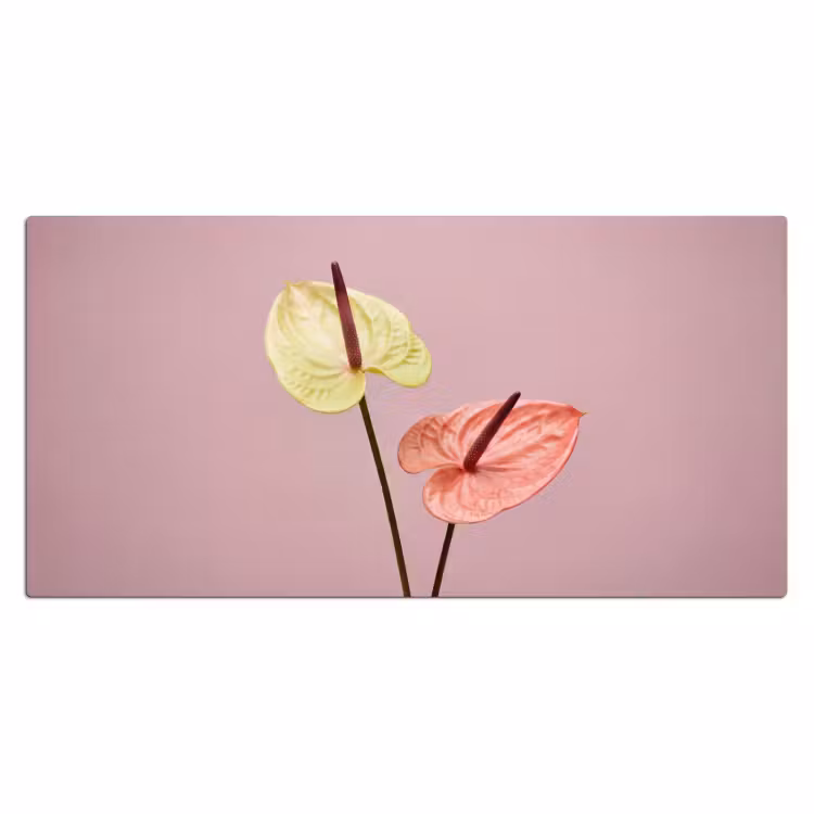 Bloemen - Anthuriums - Geel - Roze Muismat XXL klein -3d_leeg