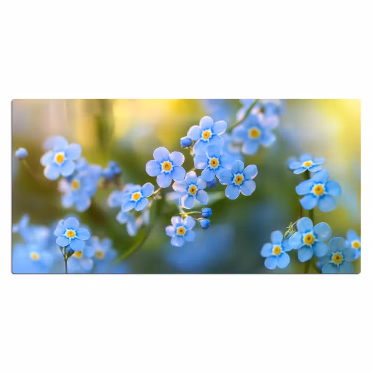 Bloemetjes - Blauw - Vergeet mij nietjes Muismat XXL klein -3d_leeg