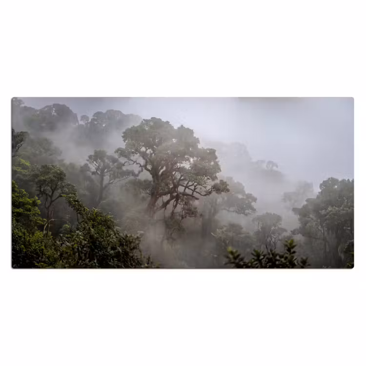 Boom - Mistig - Bos - Groen - Natuur Muismat XXL klein -3d_leeg