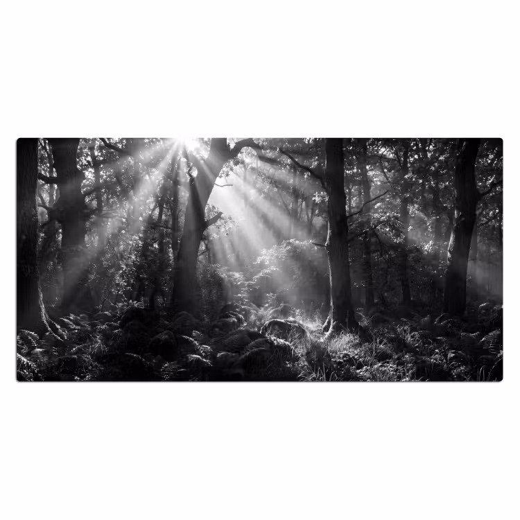Bos - Lichtstralen - Natuur - Zwart-wit Muismat XXL klein -3d_leeg