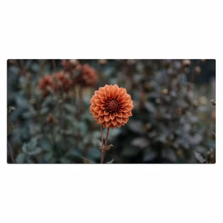 Dahlia - Bloem - Natuur - Sfeervol Muismat XXL klein -3d_leeg