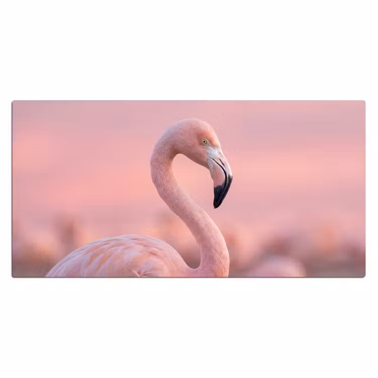 Flamingo - Portret - Roze Muismat XXL klein -3d_leeg