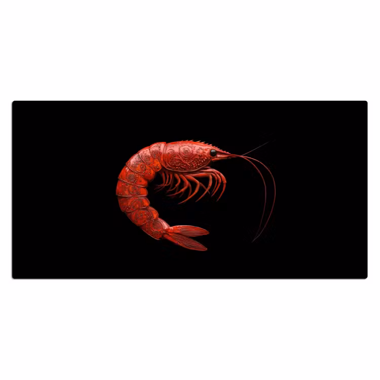 Garnaal - Rood - Dieren Muismat XXL klein -3d_leeg