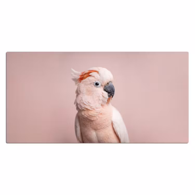 Kaketoe - Portret - Roze Muismat XXL klein -3d_leeg