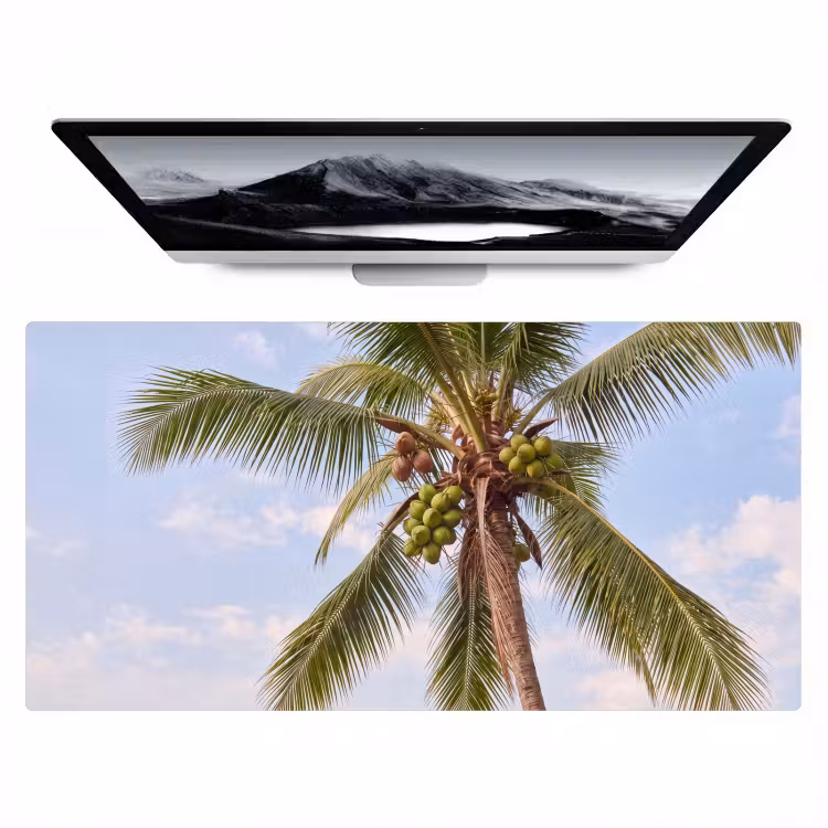 Kokosnoot - Boom - Tropisch - Natuur - Groen Muismat XXL klein -zzz3d