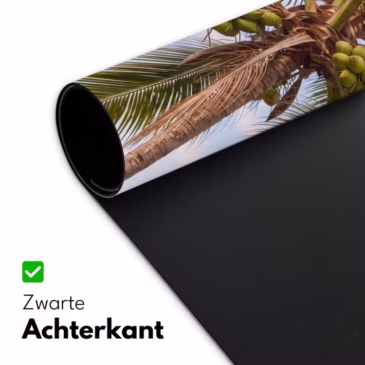 Kokosnoot - Boom - Tropisch - Natuur - Groen Muismat XXL klein -sfeer2