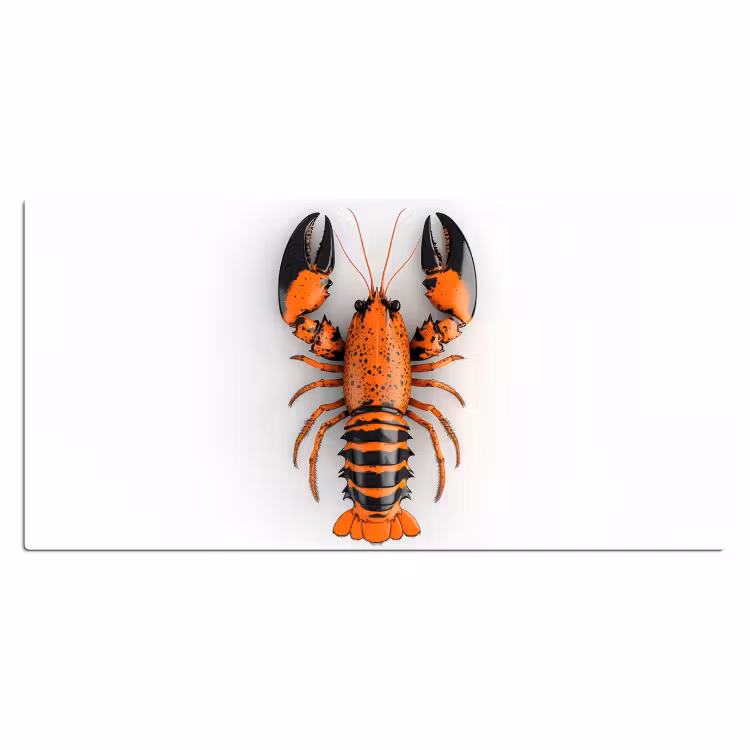 Kreeft - Zwart - Oranje - Wit - Uniek Muismat XXL klein -3d_leeg