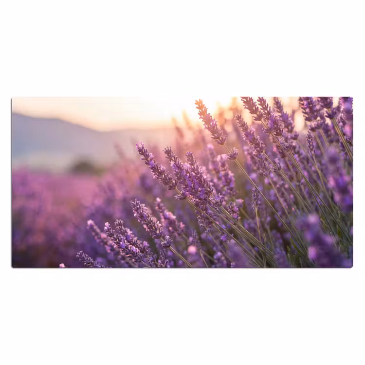 Lavendel - Paars - Zonlicht Muismat XXL klein -3d_leeg