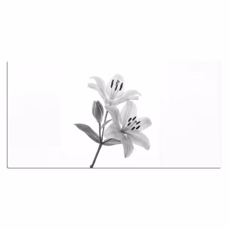 Lelies - Elegant - Zwart - Wit Muismat XXL klein -3d_leeg