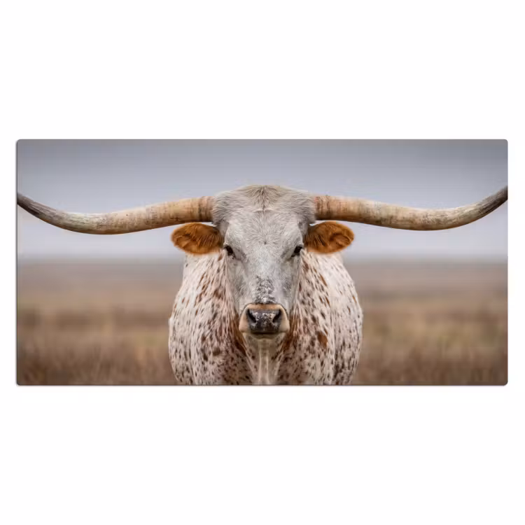 Longhorn - Grasveld - Dier Muismat XXL klein -3d_leeg