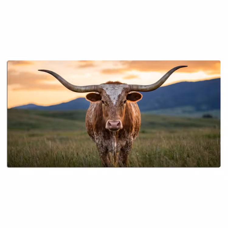 Longhorn - Landschap - Zonsondergang Muismat XXL klein -3d_leeg