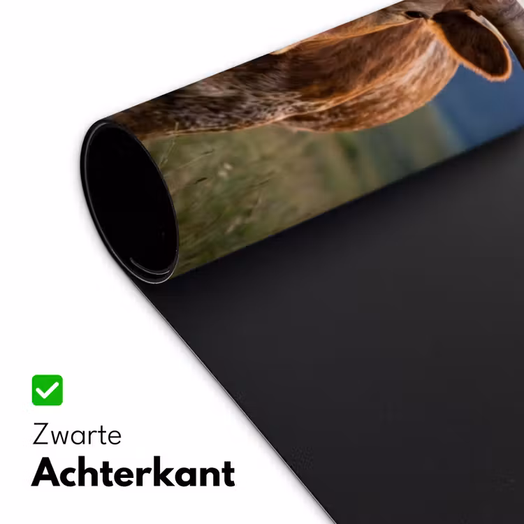 Longhorn - Landschap - Zonsondergang Muismat XXL klein -sfeer2