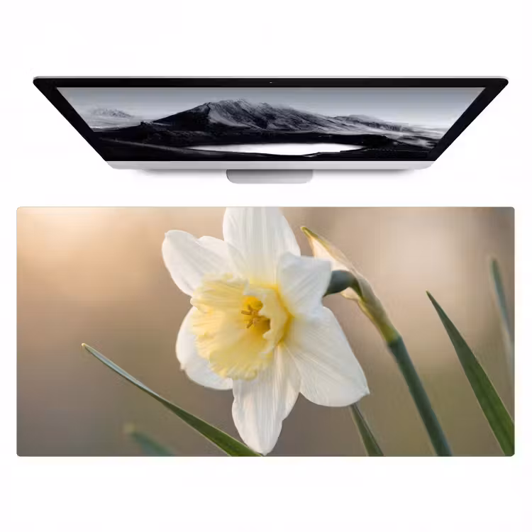 Narcis - Bloem - Minimalistisch Muismat XXL klein -zzz3d