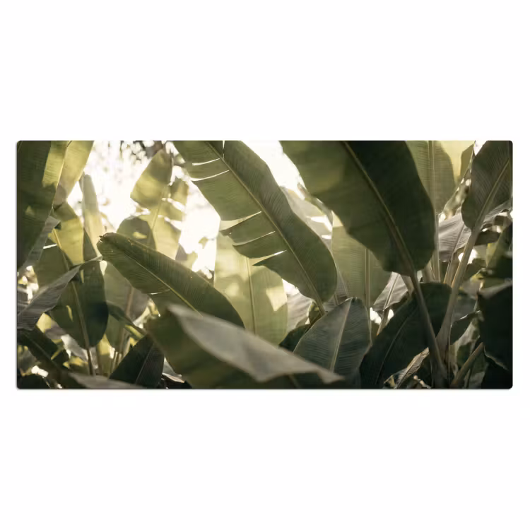 Natuur - Bladeren - Groen - Tropisch - Detail Muismat XXL klein -3d_leeg