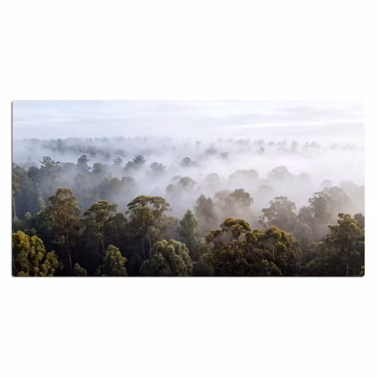 Natuur - Mist - Bos - Ochtend - Goud Muismat XXL klein -3d_leeg
