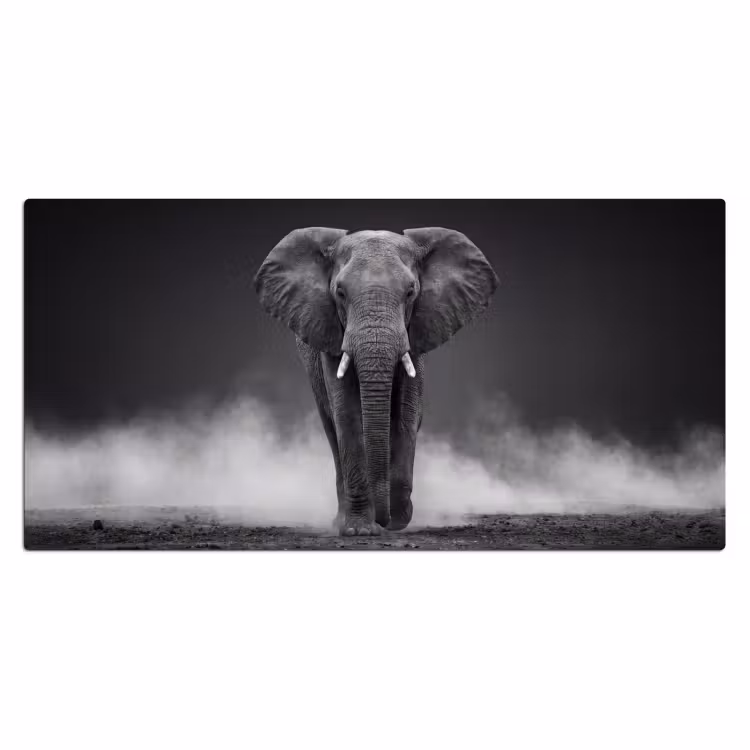 Olifant - Zwart - Wit - Rook Muismat XXL klein -3d_leeg