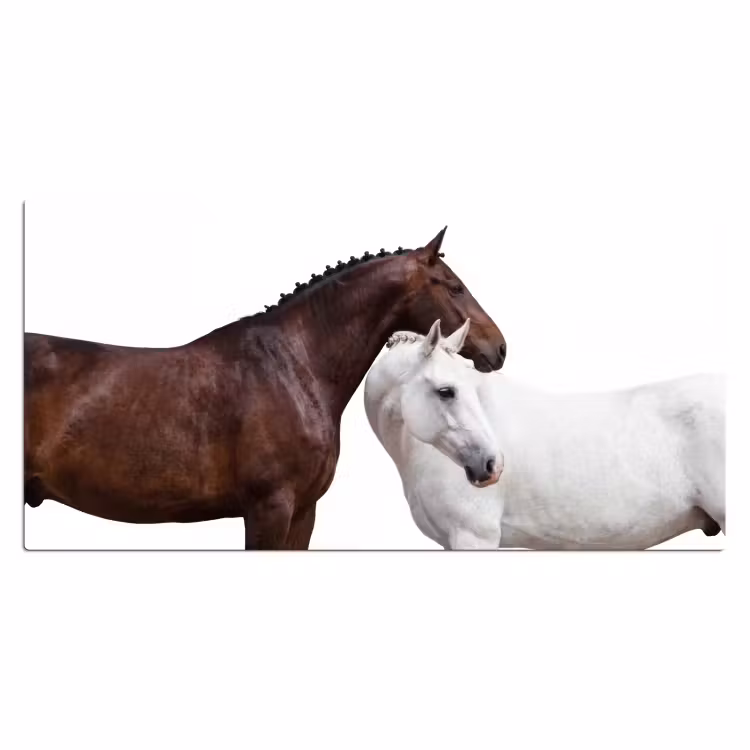 Paard - Modern - Balans Muismat XXL klein -3d_leeg