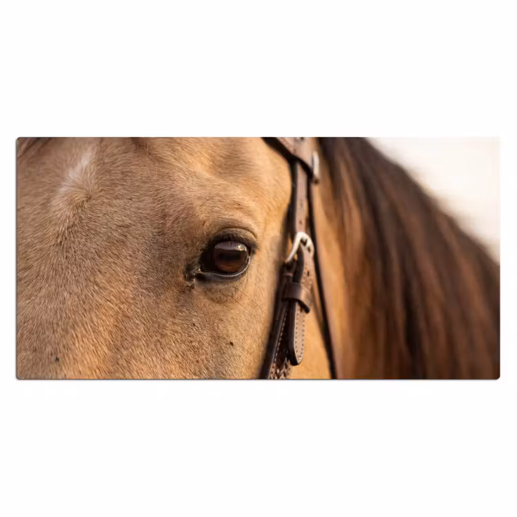 Paard - Oog - Bruin Muismat XXL klein -3d_leeg