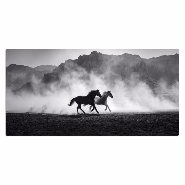 Paard - Ren - Stof - Zwart-wit - Dieren Muismat XXL klein -3d_leeg