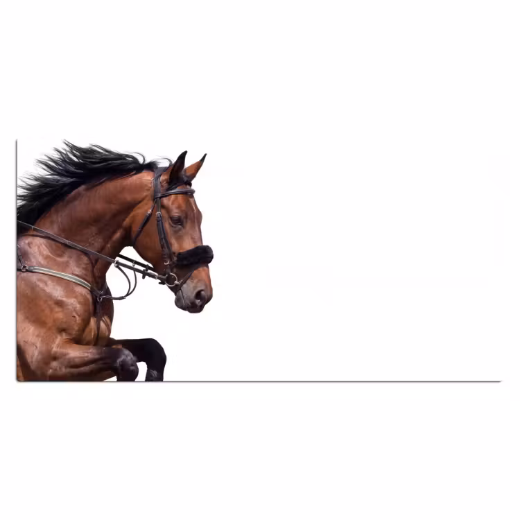 Paard - Springen - Modern Muismat XXL klein -3d_leeg