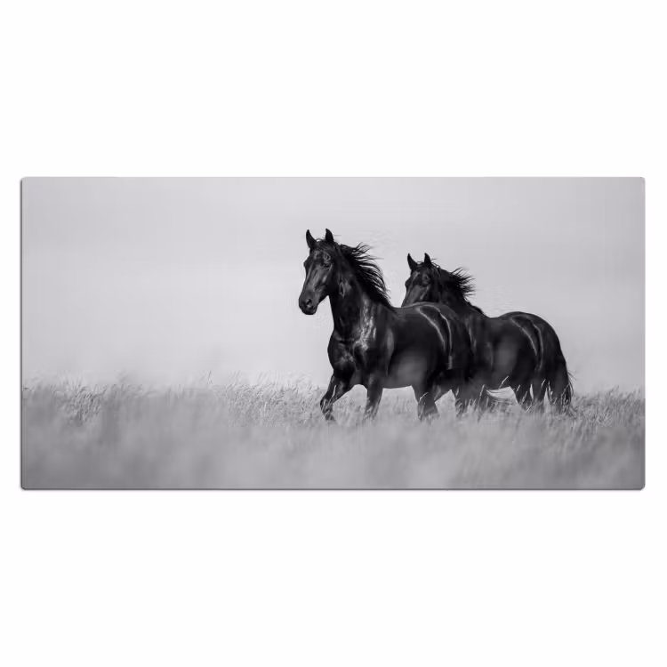 Paarden - Gras - Zwart - Wit Muismat XXL klein -3d_leeg