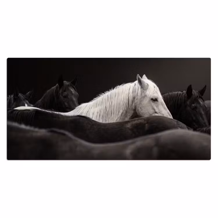 Paarden - Zwart - Wit - Kudde Muismat XXL klein -3d_leeg