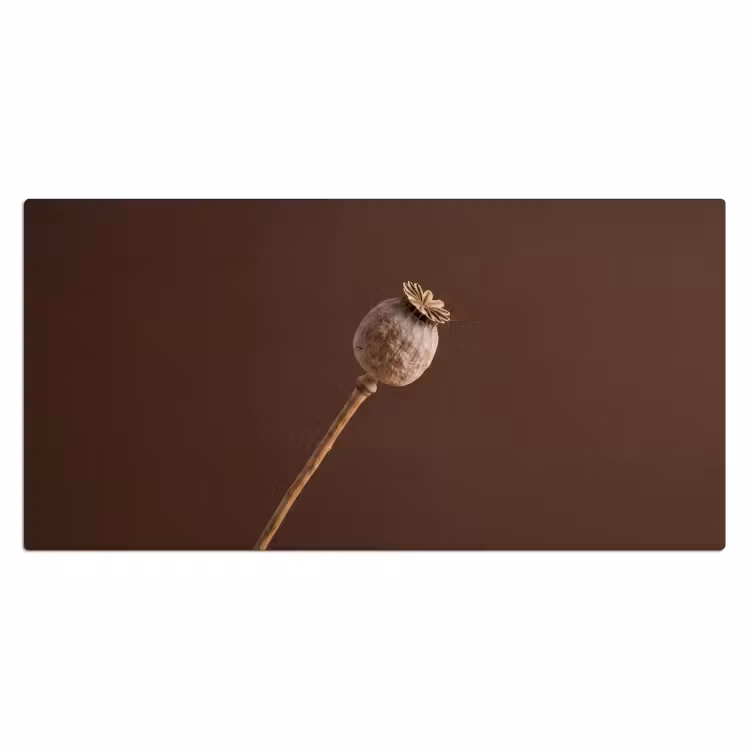 Papaverbol - Droogbloem - Bruin - Minimalistisch Muismat XXL klein -3d_leeg