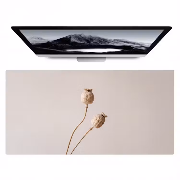 Papaverbollen - Droogbloemen - Minimalistisch - Beige - Rustig Muismat XXL klein -zzz3d