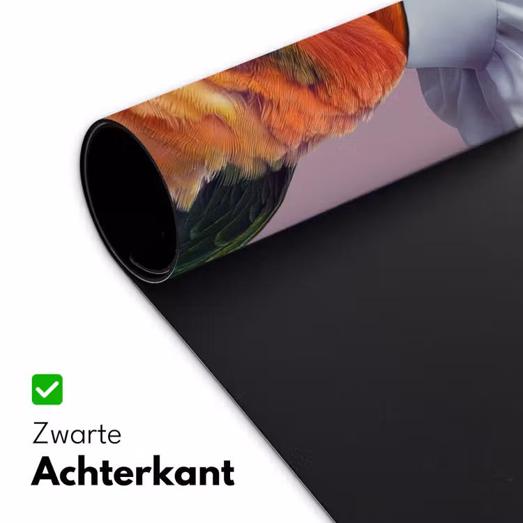 Papegaai - Koksmuts - Nieuwsgierig - Vogel Muismat XXL klein -sfeer2