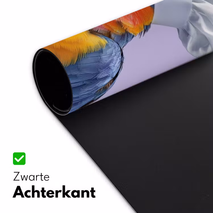 Papegaai - Koksmuts - Paars - Cute Muismat XXL klein -sfeer2