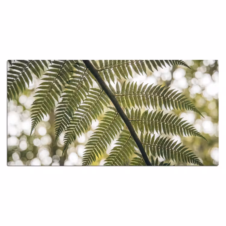 Plant - Blad - Natuur - Groen - Detail Muismat XXL klein -3d_leeg