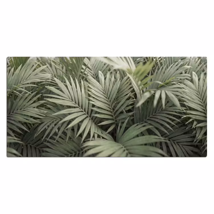 Plant - Palmbladeren - Natuur - Groen Muismat XXL klein -3d_leeg