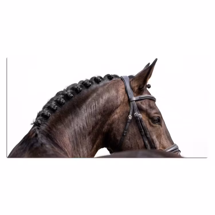 Portret - Paard - Elegant Muismat XXL klein -3d_leeg
