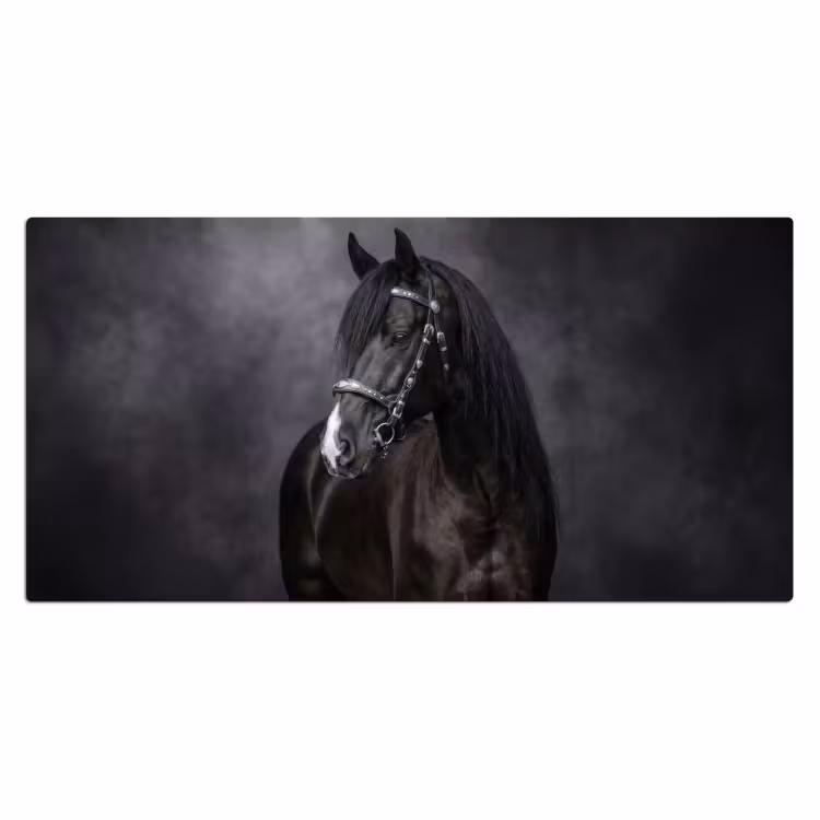 Portret - Paard - Zwart Muismat XXL klein -3d_leeg