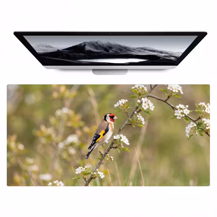 Putter - Bloesem - Lente - Natuur - Kleurrijk Muismat XXL klein -zzz3d