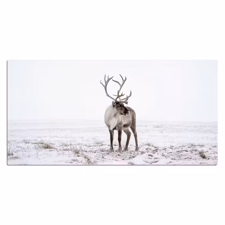 Rendier - Gewei - Sneeuw - Winter Muismat XXL klein -3d_leeg