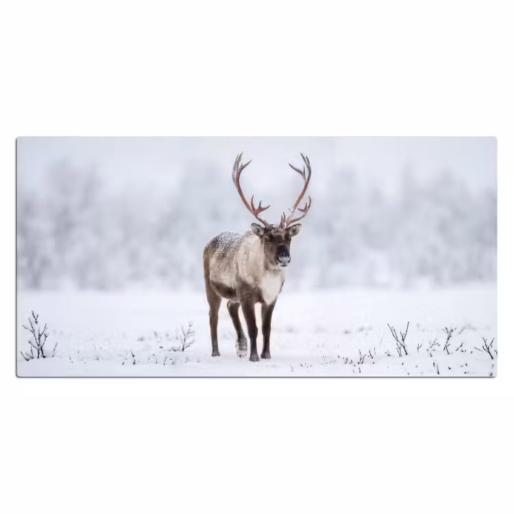 Rendier - Gewei - Toendra - Sneeuw - Wild Muismat XXL klein -3d_leeg