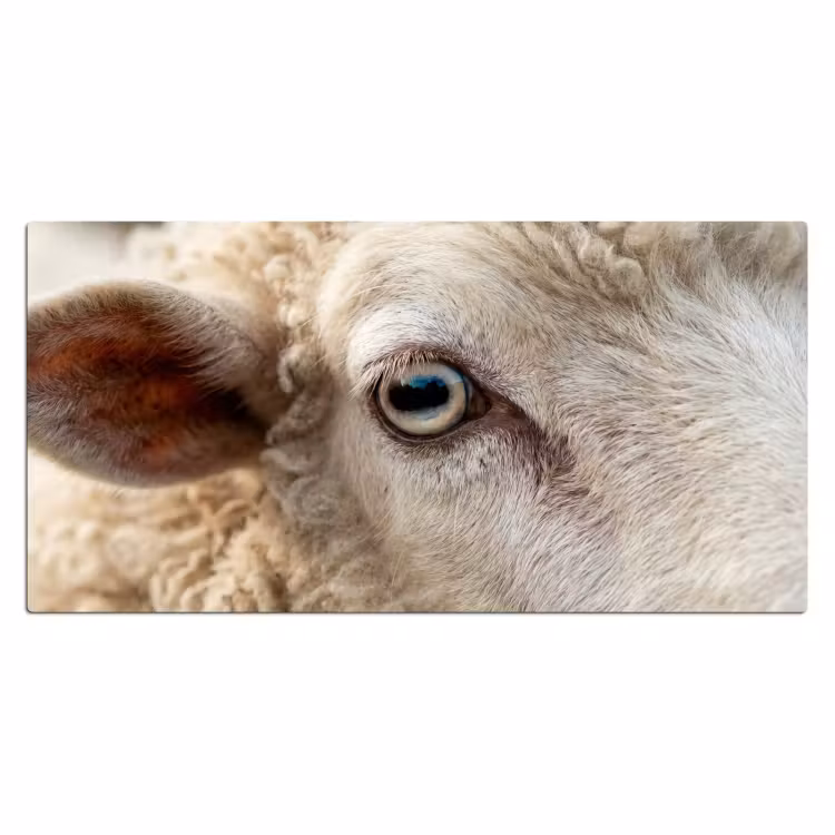 Schaap - Oog - Wit Muismat XXL klein -3d_leeg